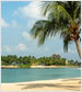 Beaches