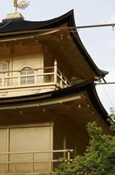 Tokyo Building